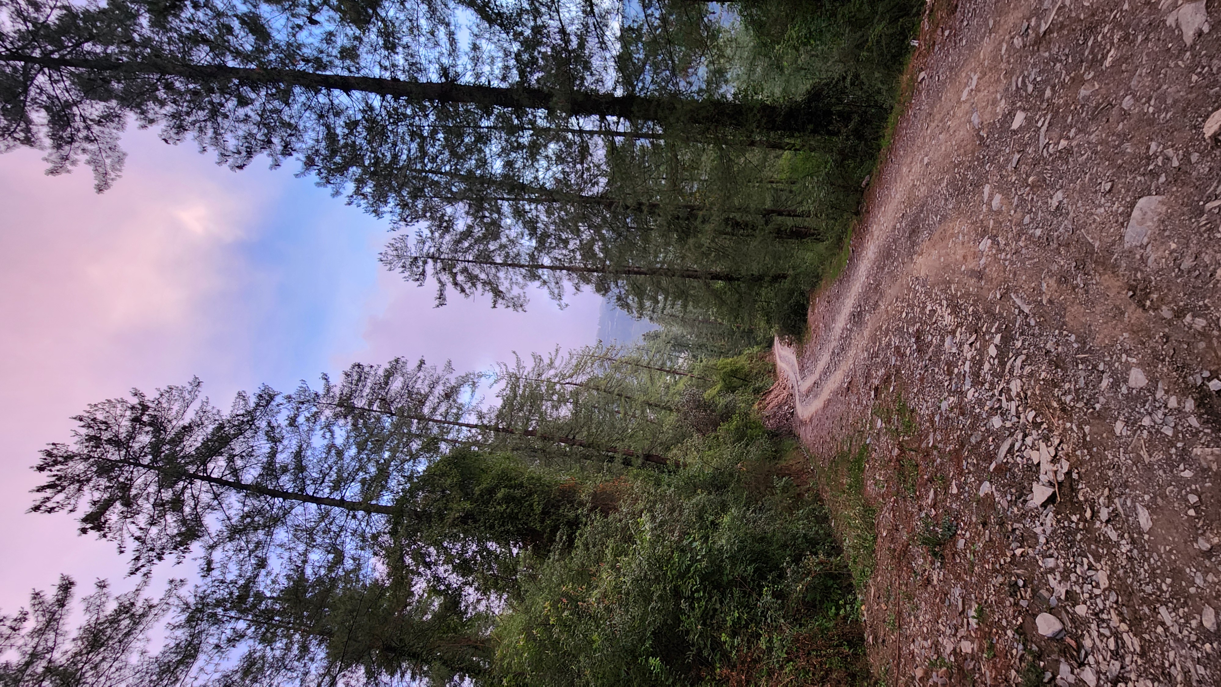 Gallery image 14